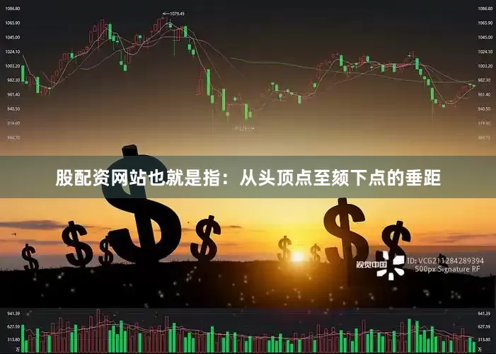 股配資網站也就是指：從頭頂點至頦下點的垂距